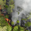 Thaicom Launches Wildfire Alert System via LINE for Carbon Credit Registered Forest Areas